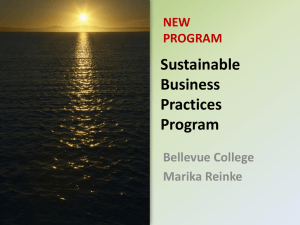 Sustainable Business Practices Program