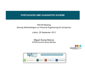 of the Portuguese Guarantee Scheme.