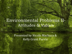 What is environmentalism?