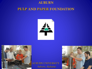 auburn pulp and paper foundation