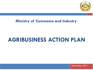 sme strategy & sector action plans