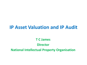 IP Asset Valuation and IP Audit