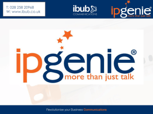 IP Genie - ibub Communications