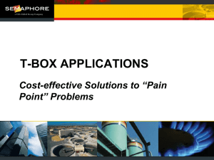 Cost Effective Solutions to "Pain Point" Problems PPT