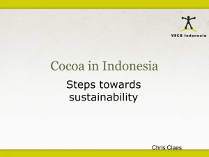 Cocoa in Indonesia - Steps towards sustainability