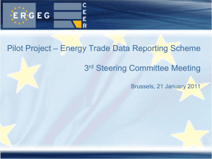 Pilot project – Energy Trade Data Reporting Scheme