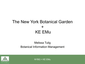 KE Software`s Electronic Museum + The New York Botanical Garden