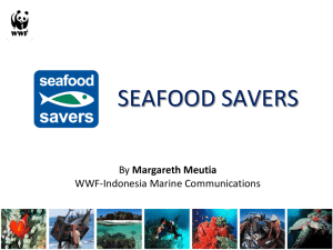 Seafood Savers - Margareth Meutia - WWF