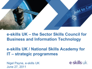 e-skills Professional Programme