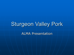 Sturgeon Valley Pork