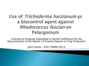 Use of Trichoderma harzianum as a biocontrol agent against