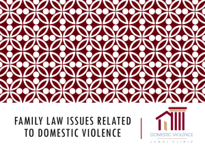 Family Law Issues related to DV 2