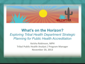Exploring Tribal Health Department Strategic Planning for Public