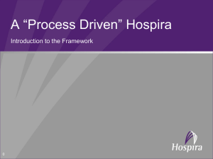 Hospira Process Framework Overview