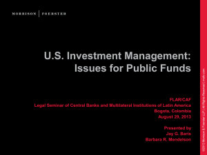 US Investment Management: Issues for Public Funds FLAR/CAF