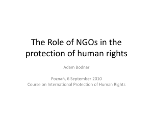 The Role of NGOs in the protection of human rights