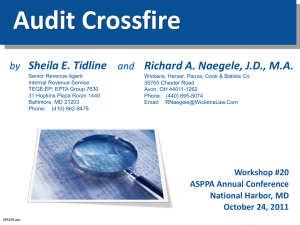 Audit Crossfire PowerPoint - Wickens, Herzer, Panza, Cook & Batista