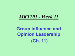 Group Influence and Opinion Leadership