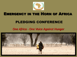 PLEDGING CONFERENCE FOR COUNTRIES OF HORN OF