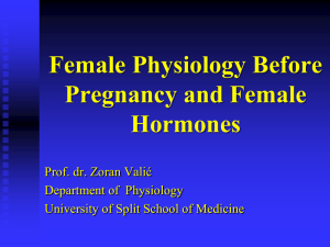 Female Physiology Before Pregnancy and Female Hormones
