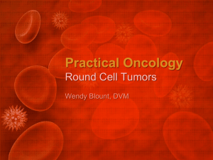 Round Cell Tumors