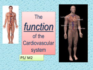 Functions of the CV system