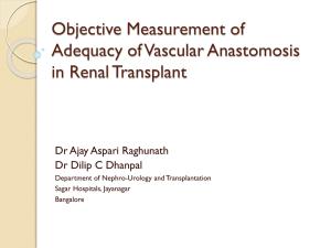 Objective Measurement of Adequacy of Vascular Anastomosis in