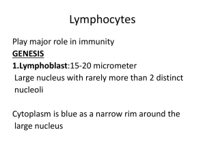 Lymphocytes and immunity.ppt