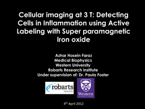 2012 Cellular imaging at 3 T