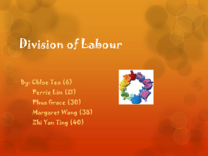 Division of Labour - divisionoflabours1d2012