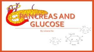Pancreas and glucose