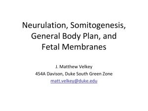 Embryology02-BodyPlanFetalMembranes