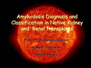 Amyloidosis Diagnosis and Classification in Native Kidney