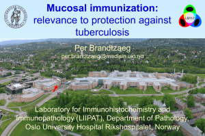 Mucosal Immunization, relevance to protection against tuberculosis