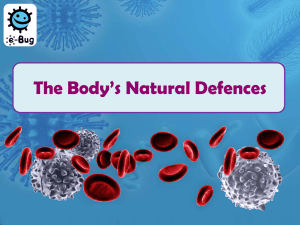 The Body`s Defence System (MS PowerPoint) - e-Bug