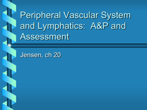 Peripheral Vascular A & P and Assessment