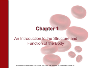 Chapter1 An Introduction to the Structure and Function of the Body