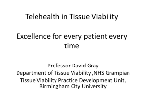 Telehealth in Tissue Viability Excellence for every patient every time