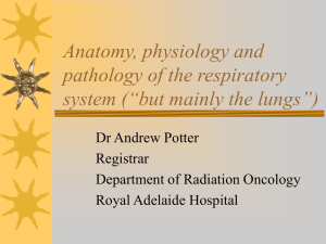 Anatomy, physiology and pathology of the respiratory