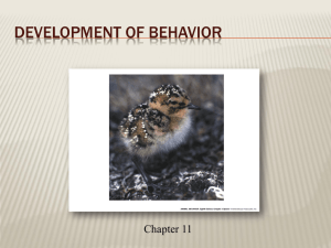 Development of Behavior