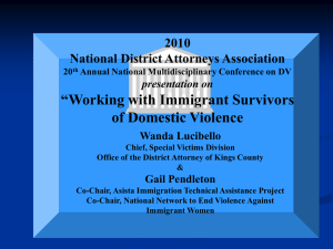 Working with Immigrant Survivors of Domestic Violence (2010)