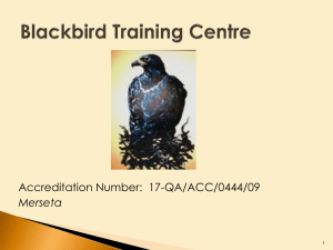 Blackbird Powerpoint presentation Skills Programs and