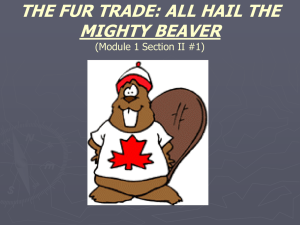2.4 The Fur Trade