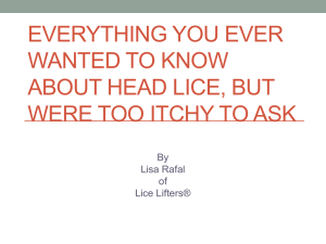 Everything You Ever Wanted to Know About Head Lice, But Were