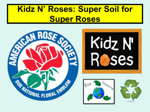 Super Soil for Super Roses PowerPoint