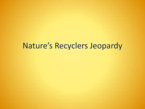 Nature`s Recyclers Jeopardy Review