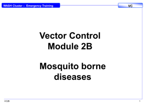 VC2B_PP_Mosquito borne disease