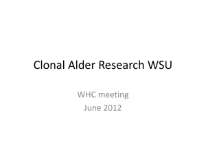 Clonal Alder Research WSU - Washington Hardwoods Commission