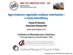 Agro-industry vegetable residues valorisation :a waste biorefinery