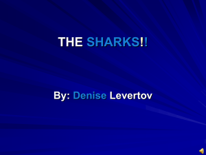 THE SHARKS!! By: Denise Levertov
